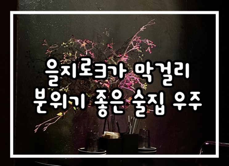  을지로3가 막걸리 다양한 전통주가 있는 우주
