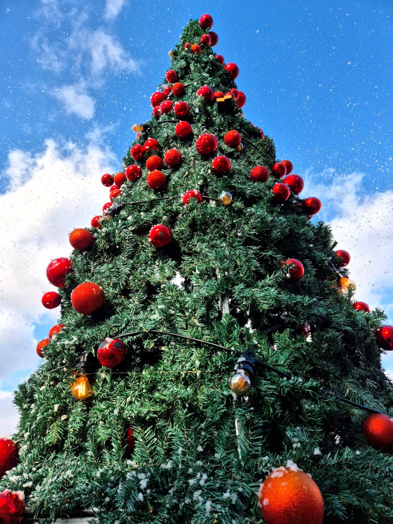 눈 내리는 PNG 이미지 | PNGEgg, image size:800x1067