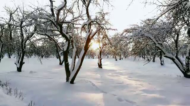  , 집합건물관리사 한달 만에 취득 노하우 요약