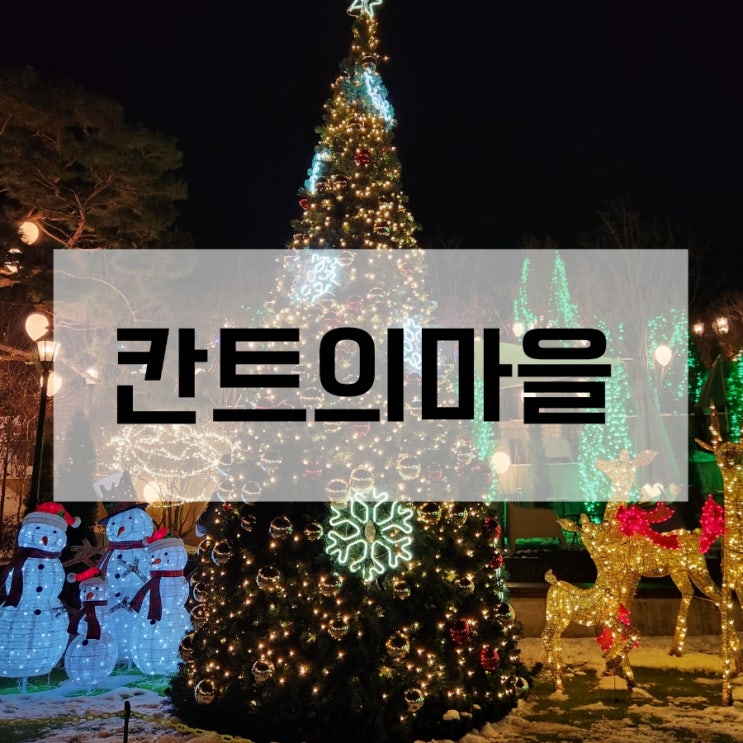  경기 대형 트리 크리스마스 카페 칸트의마을