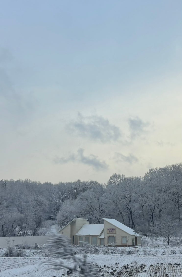불규칙한 기쁨들을 모아모아