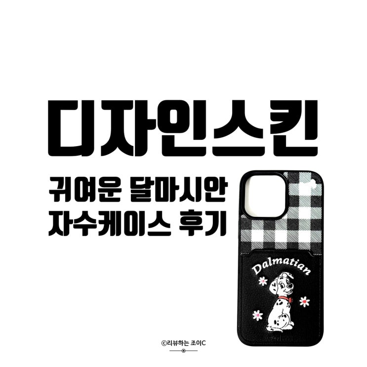  디자인스킨 추천템 귀여운 디즈니 달마시안 자수케이스