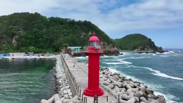  청소년 심리상담 자격증 , 심리상담사 자격증 취득한 정보 요점정리