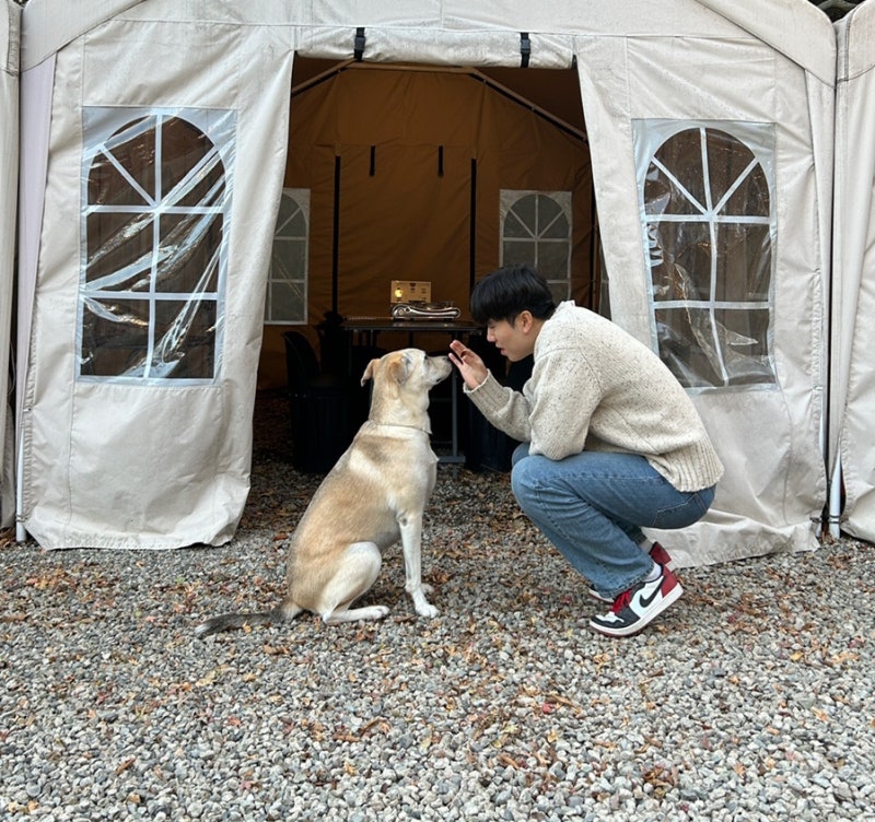 사진 6
