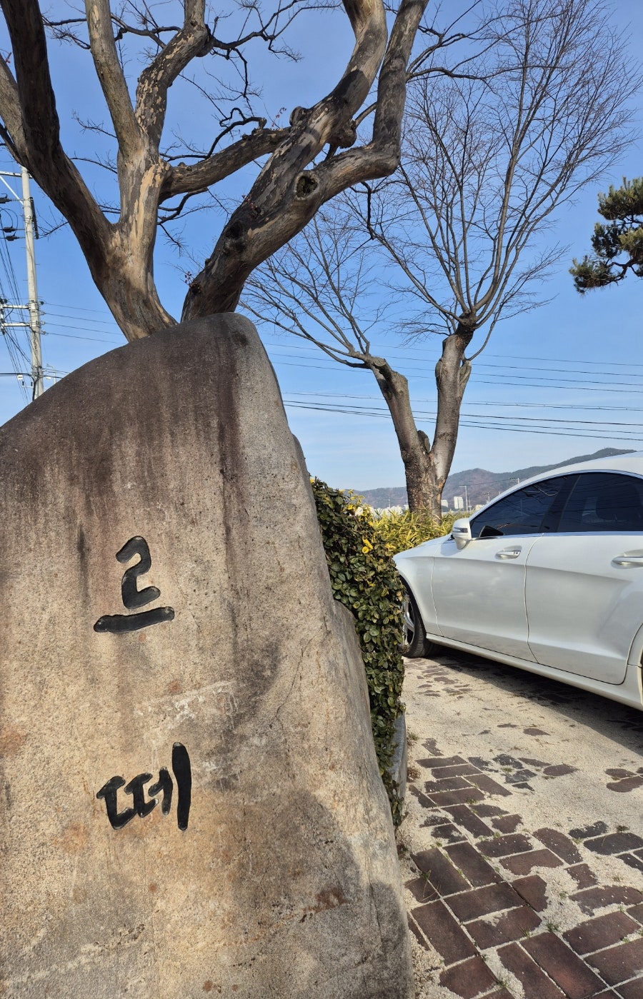 르떼 사진 1
