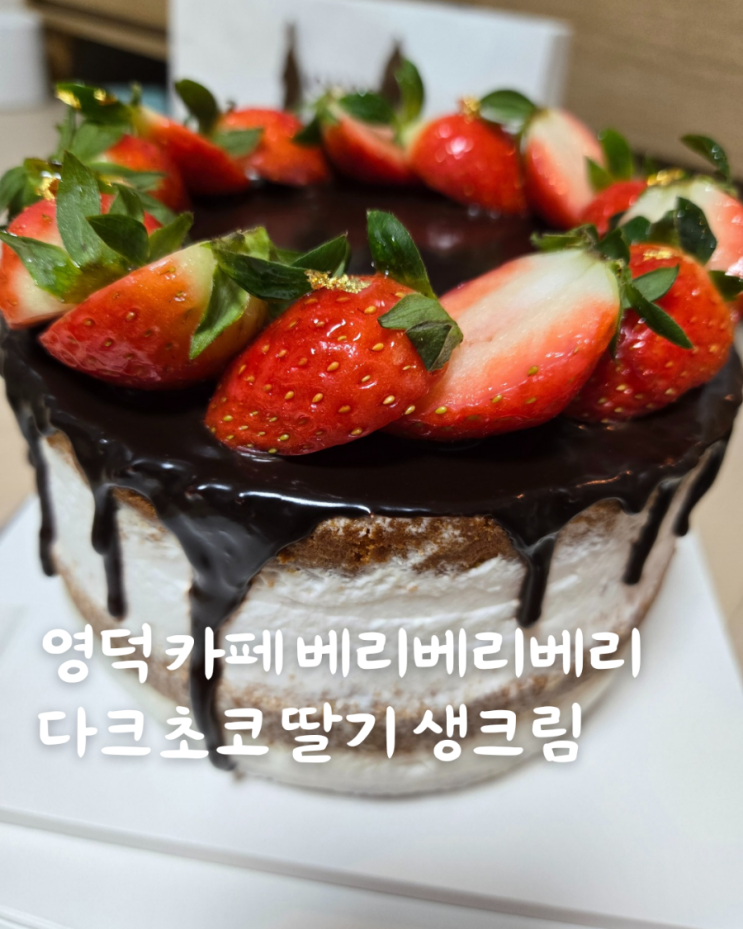  영덕 카페 베리베리베리 홀케이크 