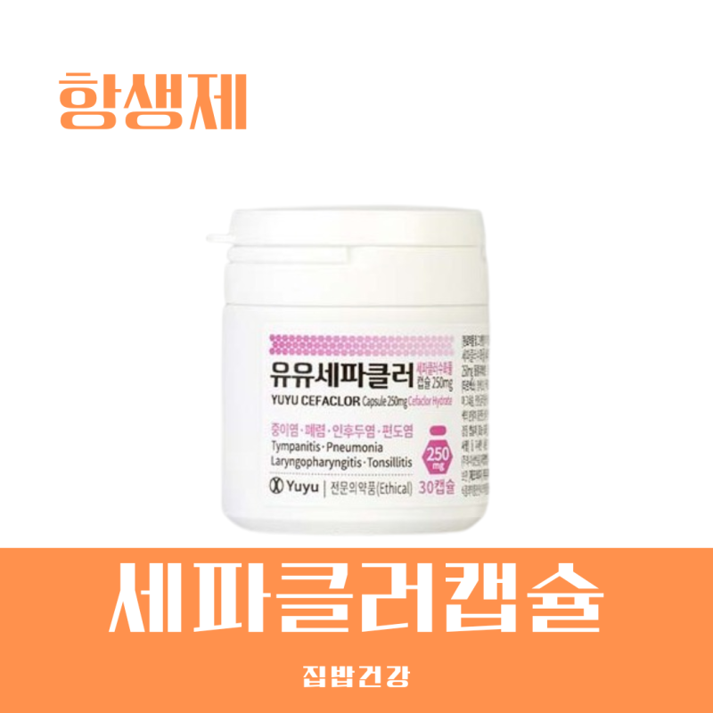 세파클러캡슐 항생제 효능 및 부작용과 성분 복용법 알아보기