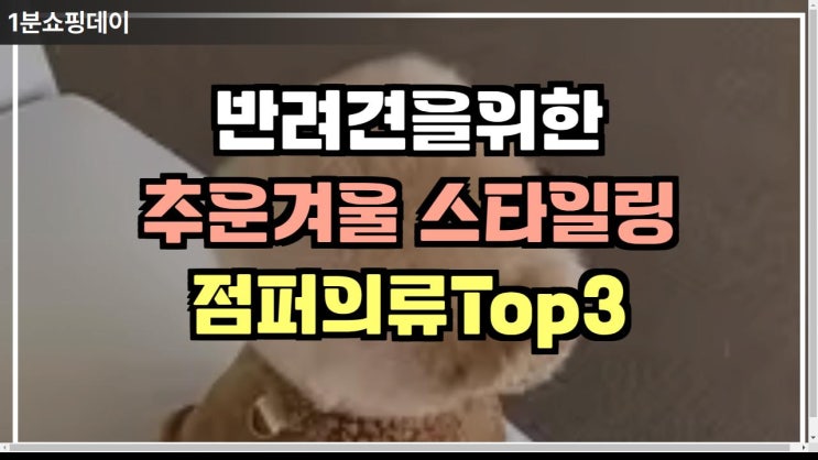  추운겨울 반려견들을 위한 선택 ! 반려견패딩TOP3