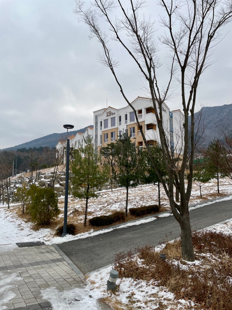 괴산 가볼만한곳 괴산자연드림파크 호텔로움2관 스탠다드트윈 / 슬쌍디아빠 이동섭