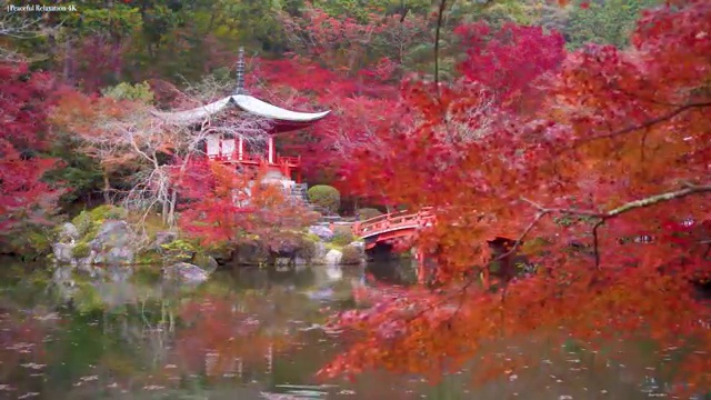  병원코디네이터자격시험 , 병원코디네이터 자격증 2주 만에 취득한 노하우 및 활용 방법