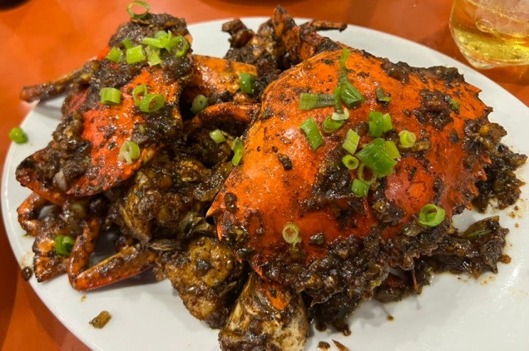  필리핀 보홀 알로나비치 크랩 해산물 맛집 라모이 추천