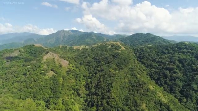  심리분석사2급 , 심리분석상담사 자격증 2주 만에 합격한 전략 핵심 정보 가득