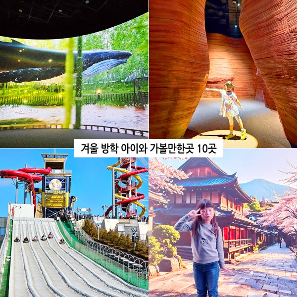  겨울방학 아이와 가볼만한곳, 실내 데이트 경기도 눈썰매장 놀거리 1월 2월 국내 여행지 추천