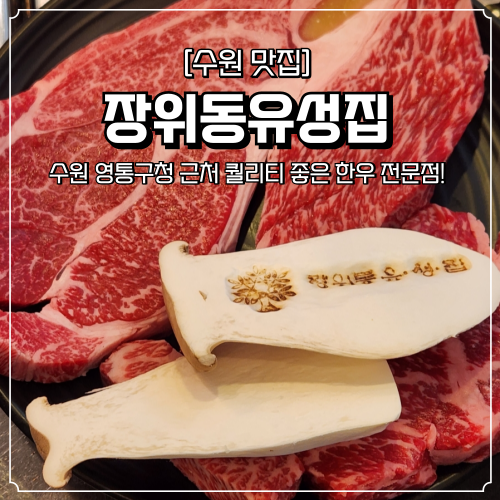  수원 한우 맛집 장위동유성집 영통구청 근처 회식장소 추천