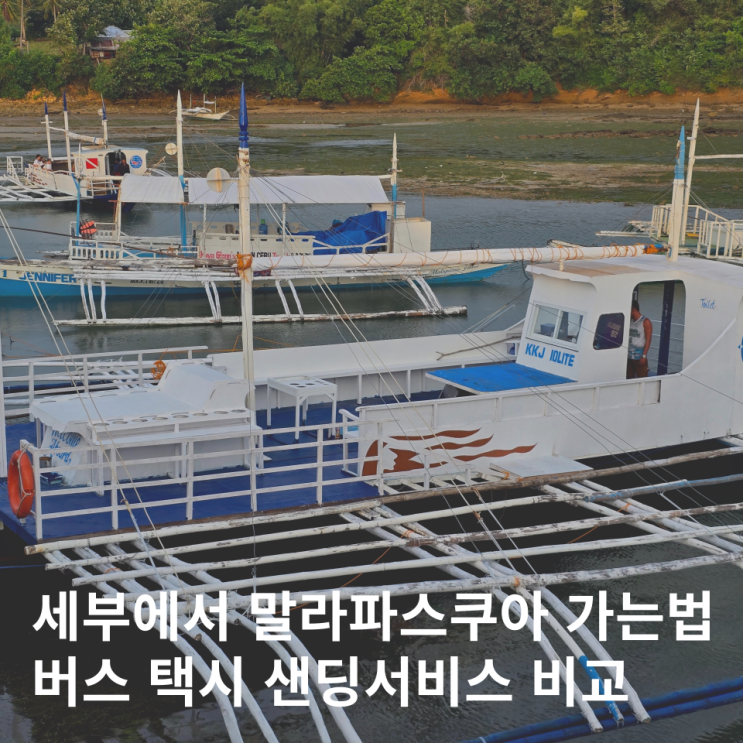  필리핀 세부 말라파스쿠아 가는법 버스 택시 샌딩 비교 다이빙 성지
