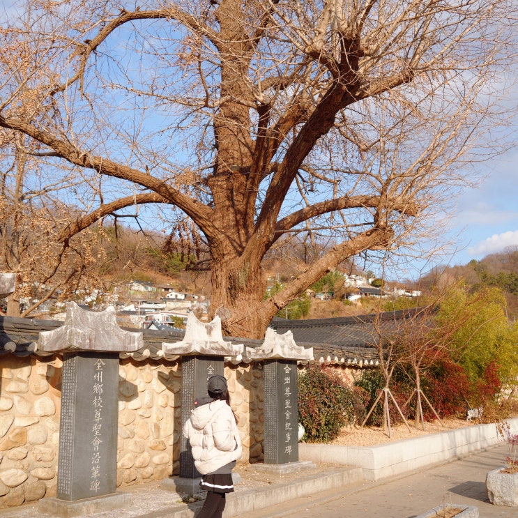  전주 향교 입장료 주차장 전주 관광지 볼거리 겨울 풍경