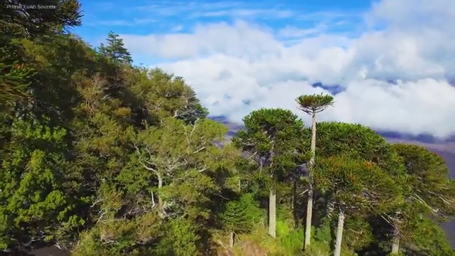  부동산임대차보호법 , 부동산자산관리전문가 부동산자산관리사자격증 온라인으로 간단히 취득 노하우