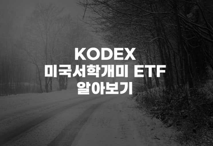  KODEX 미국서학개미[473460] ETF 코덱스 주가 주식 분석 기술주(테슬라,엔비디아 외)