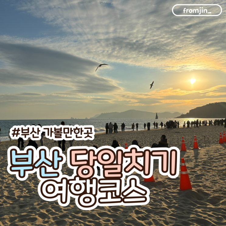  [부산/여행] 부산여행 당일치기 겨울 부산여행 코스
