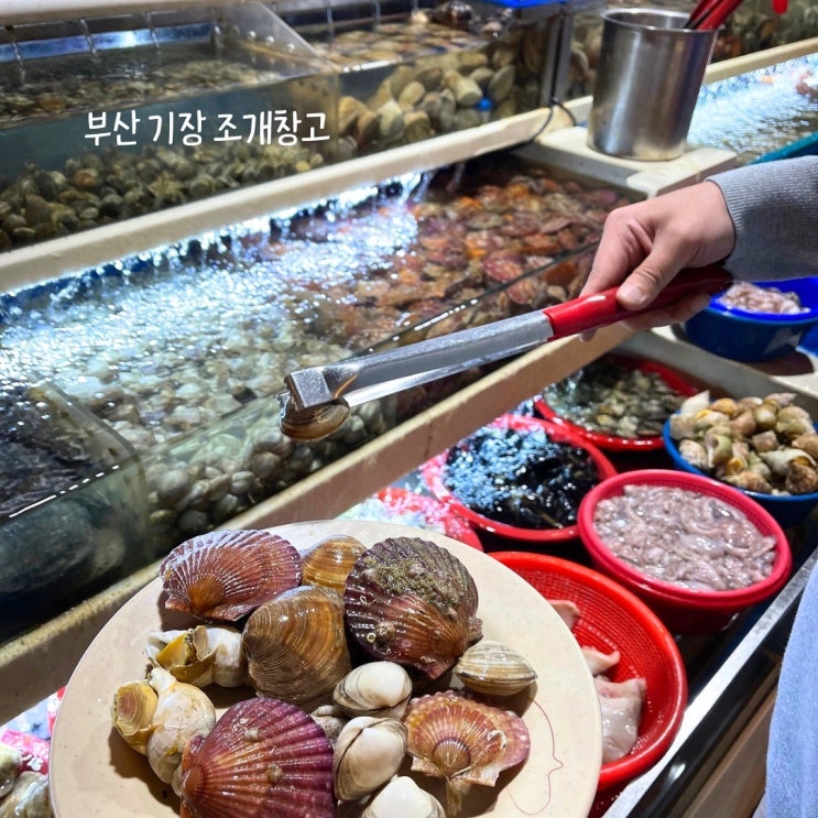  부산 기장 롯데월드 맛집 무한리필 조개구이 조개창고 두번째 방문