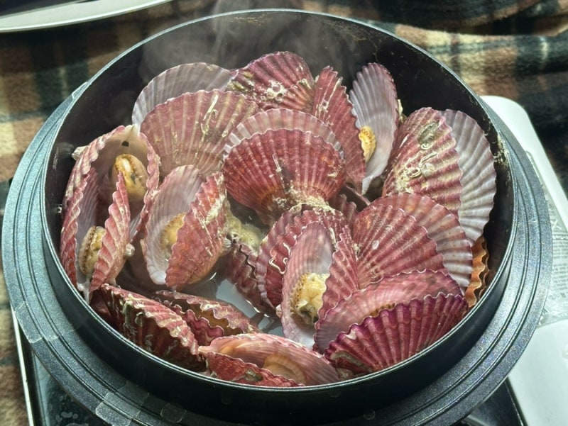 [겨울 제철 음식 초간단 홍가리비찜] 홍가리비찜 레시피 가리비 조개 손질방법 찌는 방법 술....