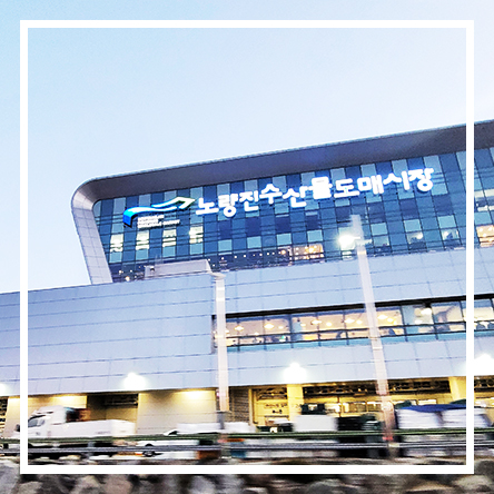  여수횟집 | 모듬회 포장해서 먹은 리얼 찐후기 | 가성비맛집 | 겨울 대방어 도미 마스까와 - 노량진수산시장