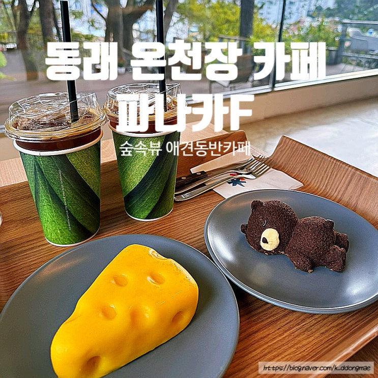  부산 동래 온천동 카페 '파나카F' 애견동반 로스터리카페 내돈내산