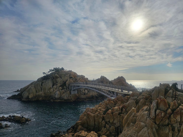  울산 가볼만한곳 대왕암공원 출렁다리 데이트 산책