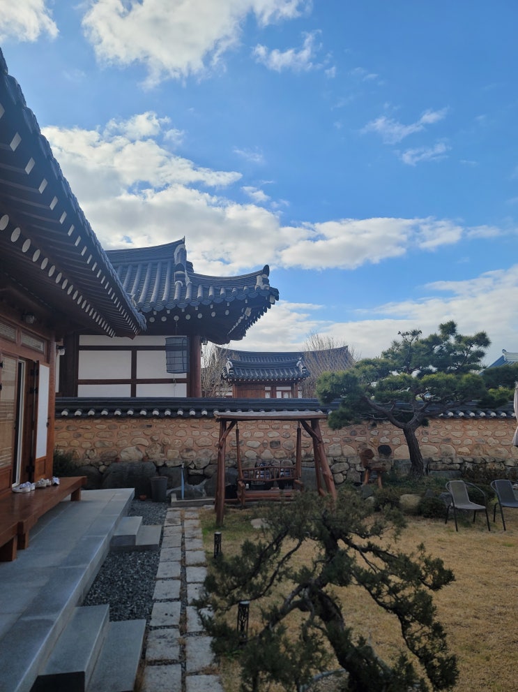  전남 목포 근교 여행 함평예촌 특실 연말파티 후기