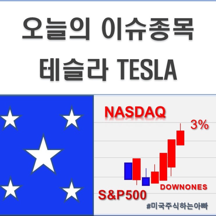  미국주식 오늘의 이슈종목 테슬라