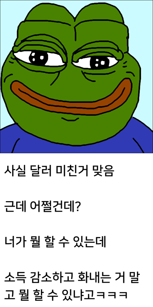  미쳐버린 달러 환율과 죽어가는 대한민국