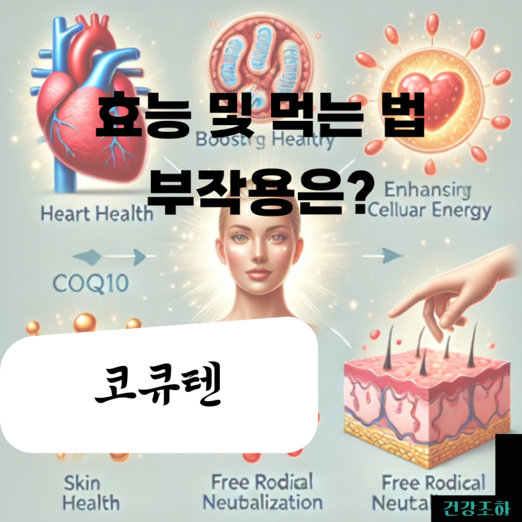  코큐텐 효능과 부작용, 먹는 방법은?