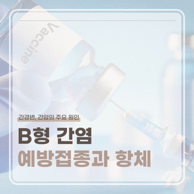 B형간염 예방접종 주기와 항체 확인