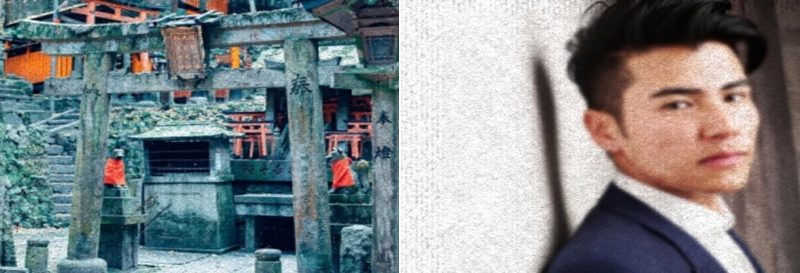 가시복 찾는 이유에 대한 정보를 확인하세요