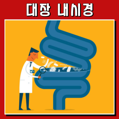 대장 내시경, 겁내지 마세요! 궁금한 점을 해결해 드립니다.