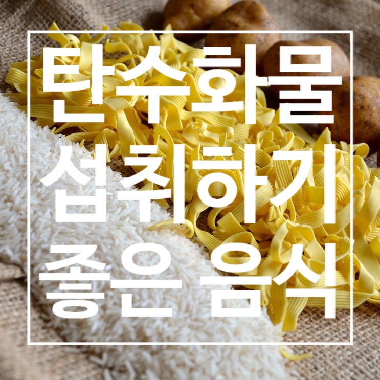  탄수화물 섭취하기 좋은 음식