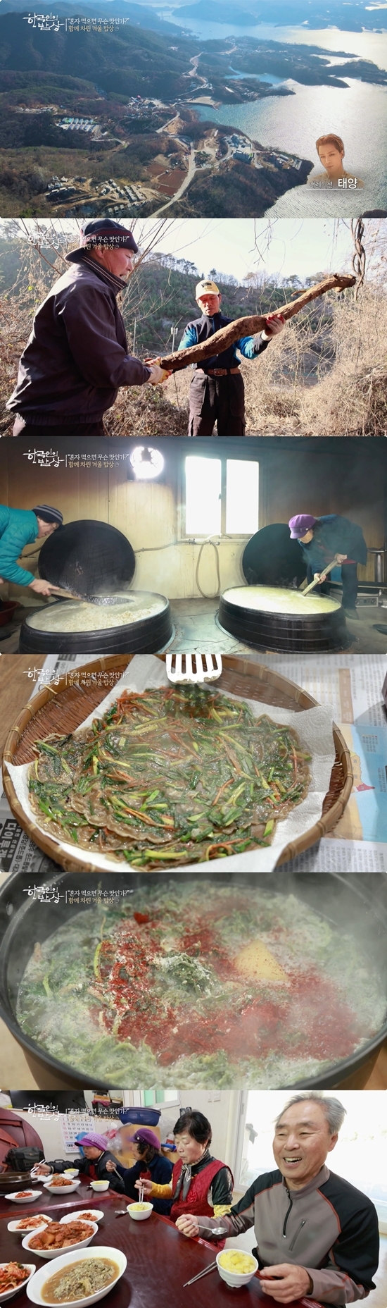<b>태양</b> "'<b>한국인의 밥상</b>'은 힐링이다"...칡조청 제조법에 감탄