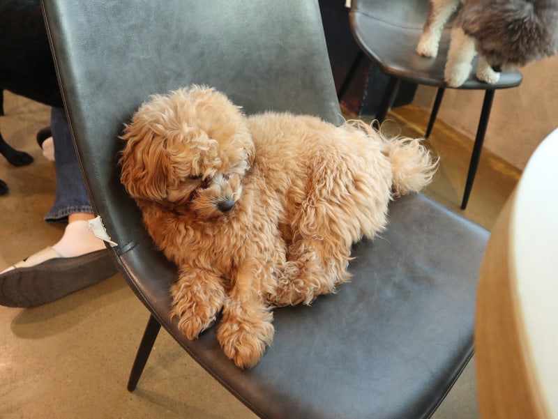 사진 7