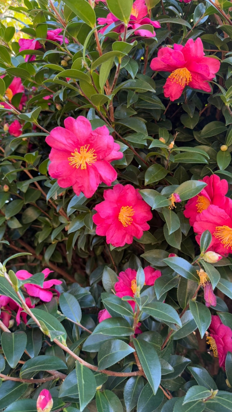 정책지식 2024.12.26. : 네이버 블로그