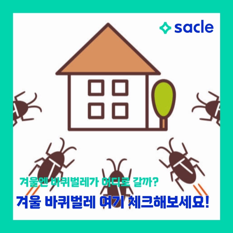 겨울 바퀴벌레는 어디로갈까? 우리집 바퀴벌레 침입경로