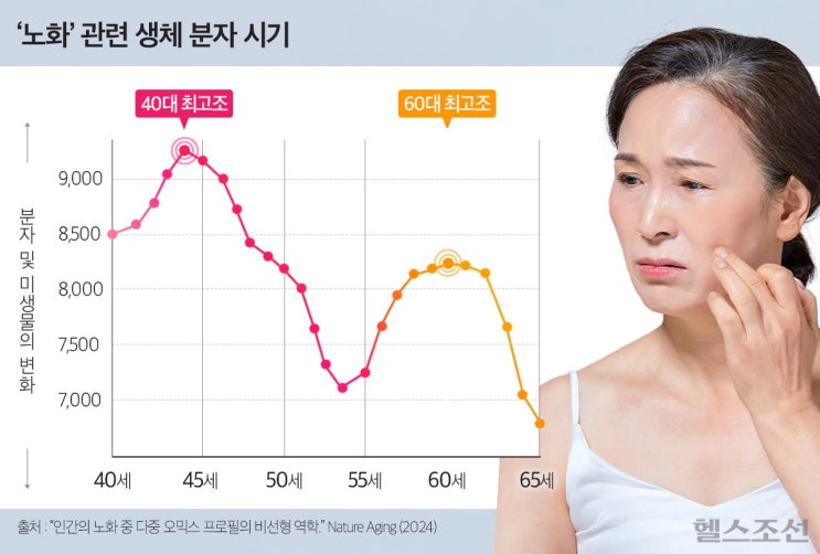 40대, 60대는 '노화 피크'? 이렇게 대처하세요! 40대, 60대는 '노화 피크'? 이렇게 대처하세요!