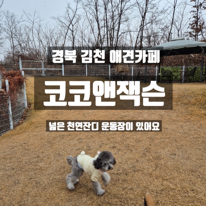 사진 6
