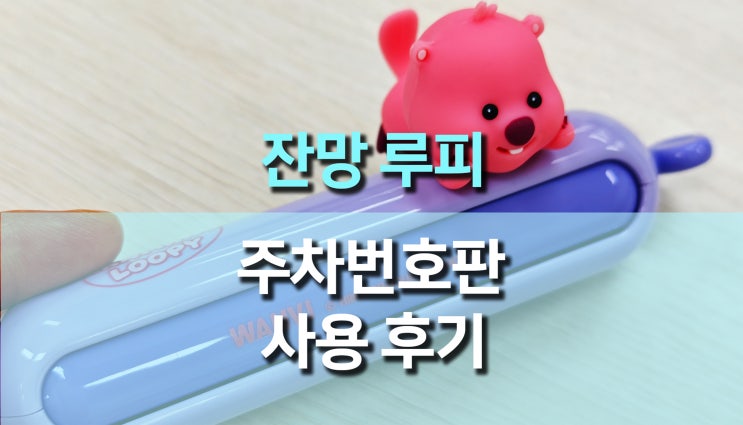 이쁜 주차번호판 추천! 잔망루피 주차번호판 솔직 리뷰 이쁜 주차번호판 추천! 잔망루피 주차번호판 솔직 리뷰