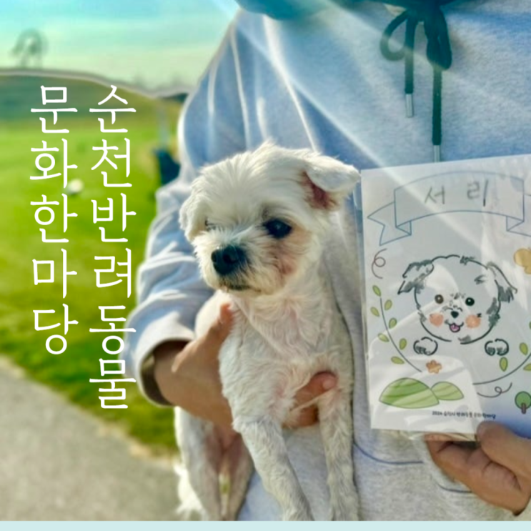  순천시 반려동물 문화한마당 행사장 다녀왔어요!