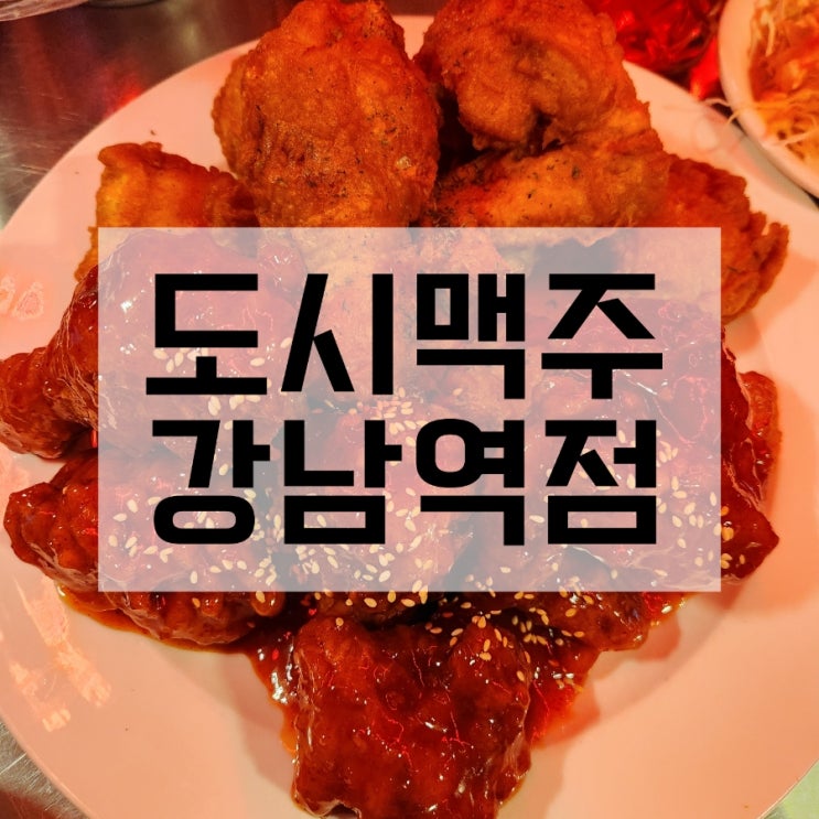  강남역 술집 도시맥주 강남역점