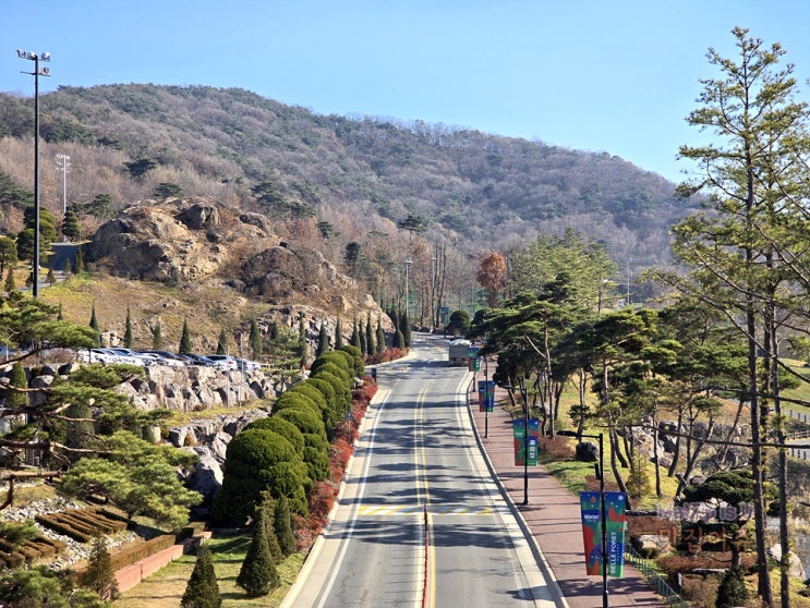 증평 벨포레리조트, 남도예찬, 밤밤테이블, 투썸플레이스, 조식뷔페