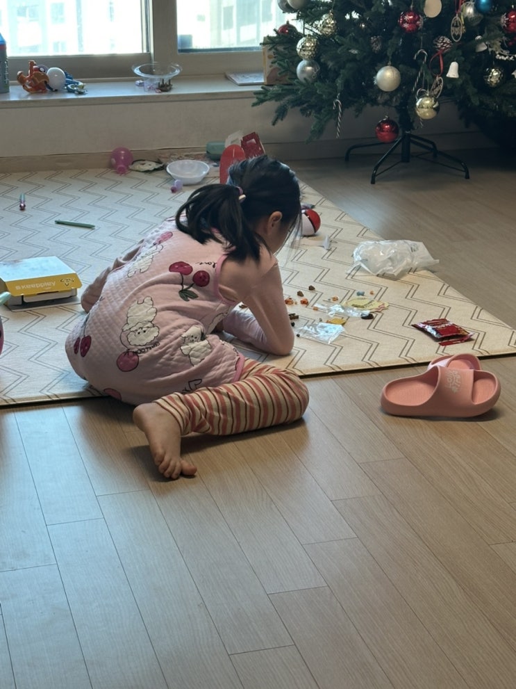 [일상의 기록] 12월 26일 :: 육아를 병행하는 재택근무의 날