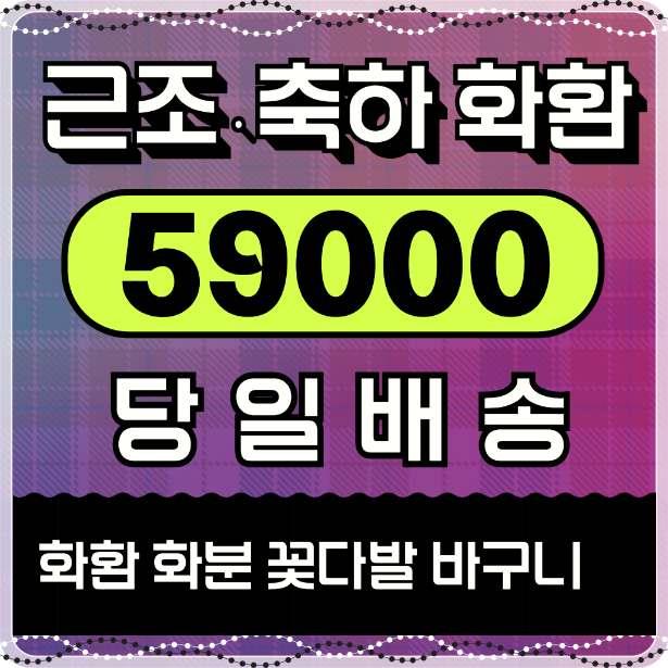  졸업전시회화환 보내기 예약 사이트 비용 싼곳 찾으시나요?
