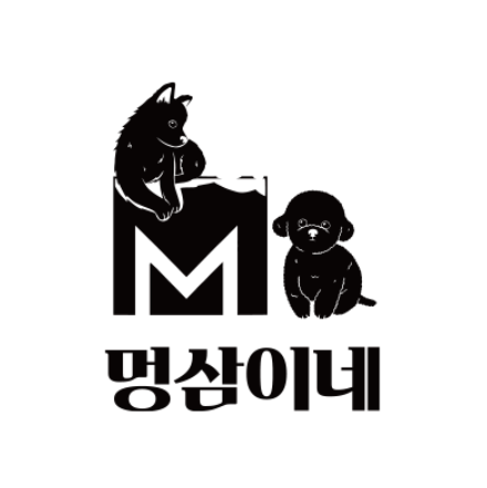 사진 4