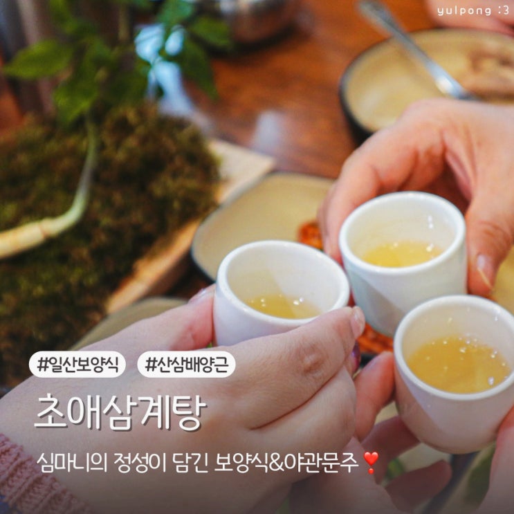  심마니의 정성이 담긴 초애삼계탕 산삼배양근으로 특별함을 더하다